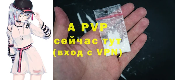 круглые Абаза