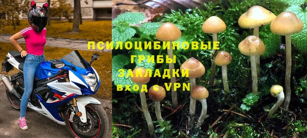 круглые Абаза