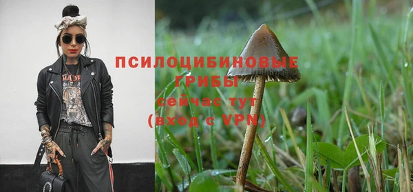 круглые Абаза