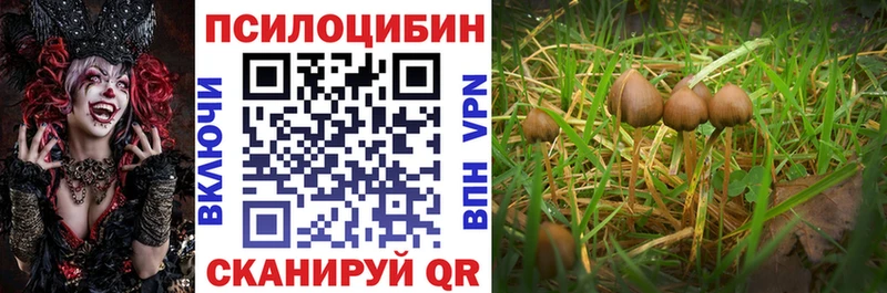 Псилоцибиновые грибы GOLDEN TEACHER  купить  сайты  Магадан 