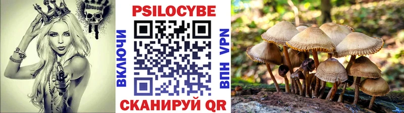 Псилоцибиновые грибы GOLDEN TEACHER Магадан